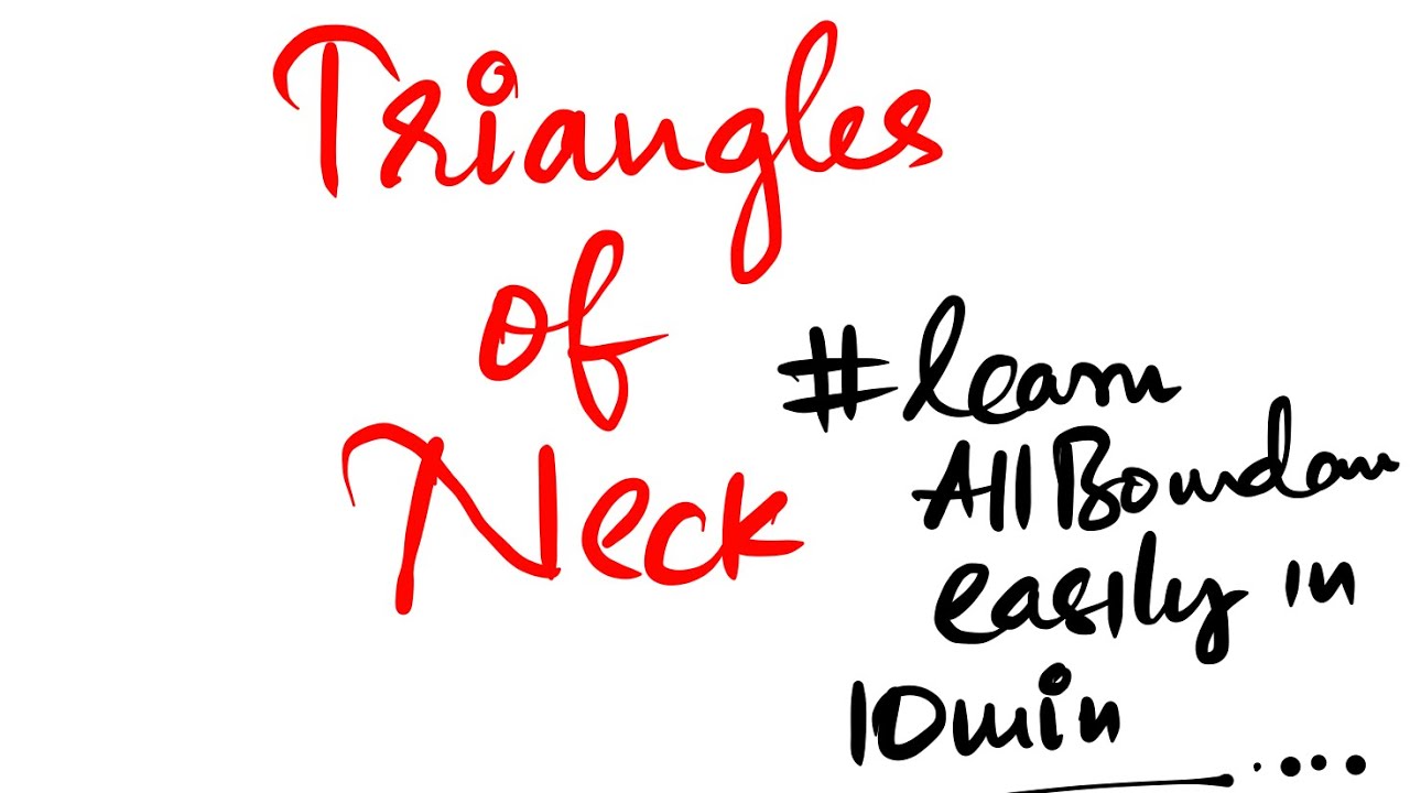 Triangles of neck || # learn in just 10 min|| all the boundaries