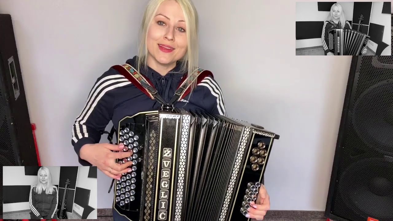 ღ Steirische Harmonika - Vinska Trta ( Lojze Slak ) ღ Katja K.