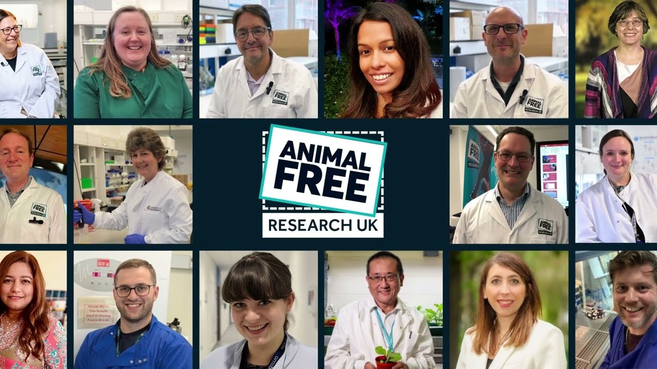 Thank you from our funded scientists