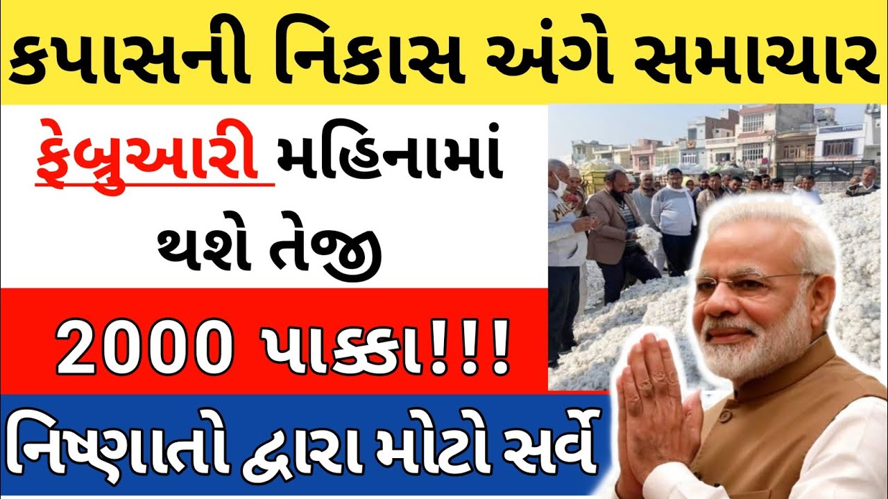 ફેબ્રુઆરી મહિનામા કપાસના ભાવ વધશે | kapas bhav | information about all cotton crop price | commodity