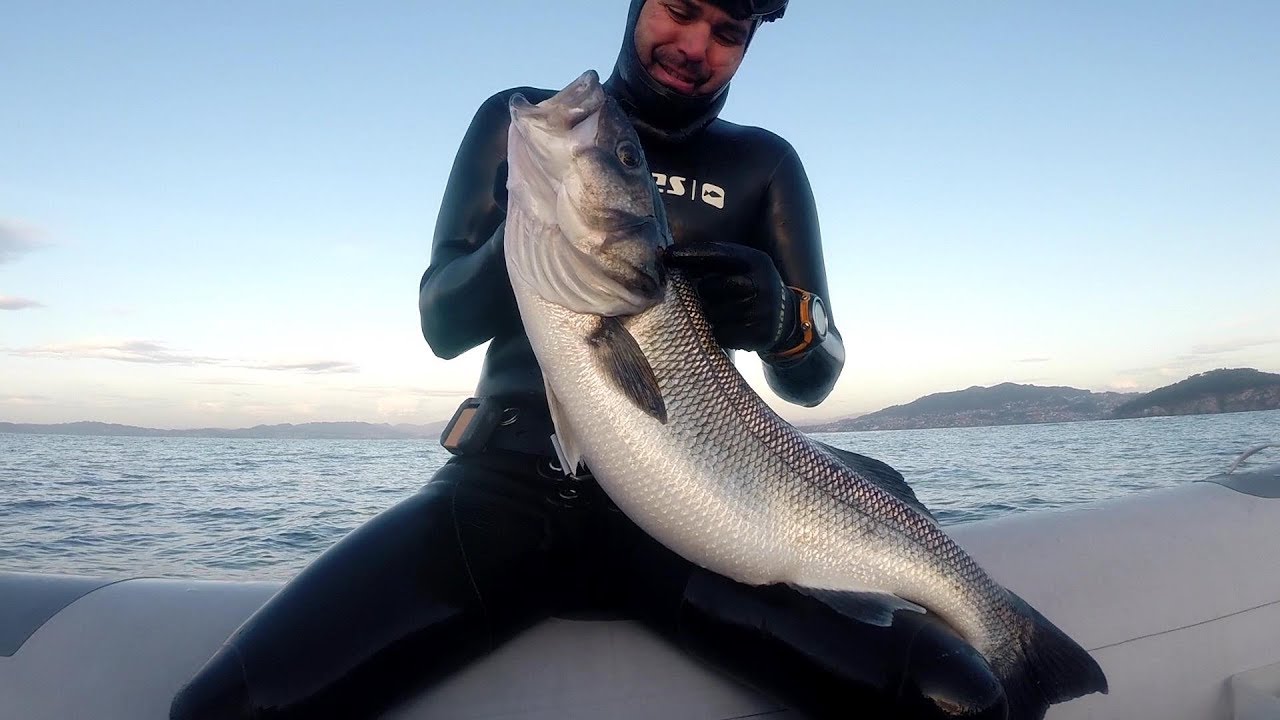 Nice headshot for great seabass.