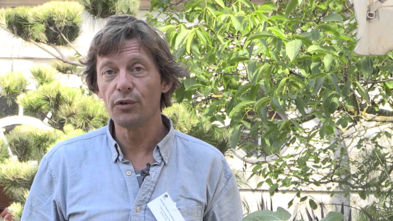 Des FIGUIERS RÉSISTANTS au FROID - CULTURE, ENTRETIEN et MALADIES