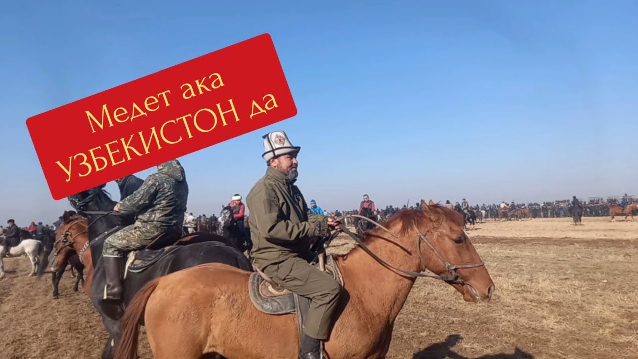 Медет таксир Гулистонда! Кок-бору кокпар улок купкари 2021