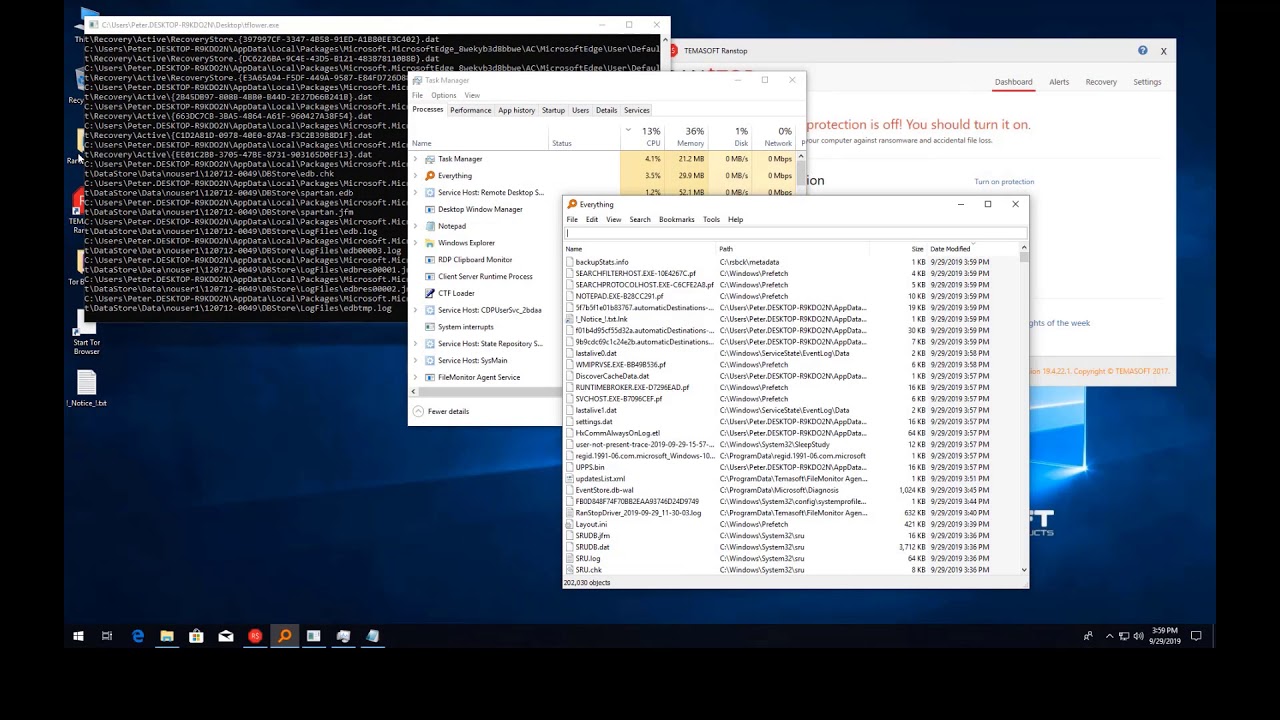 TFlower ransomware vs Ranstop &ndash; TEMASOFT Labs test