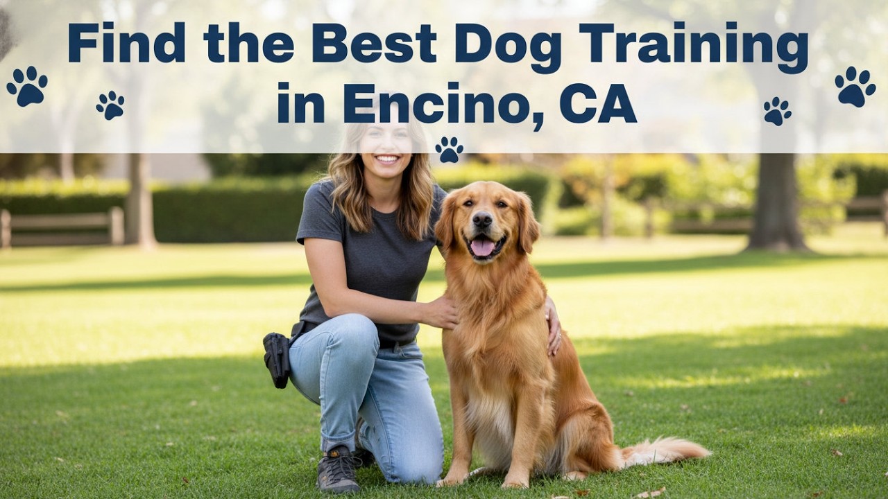 Find the Best Dog Training in Encino California