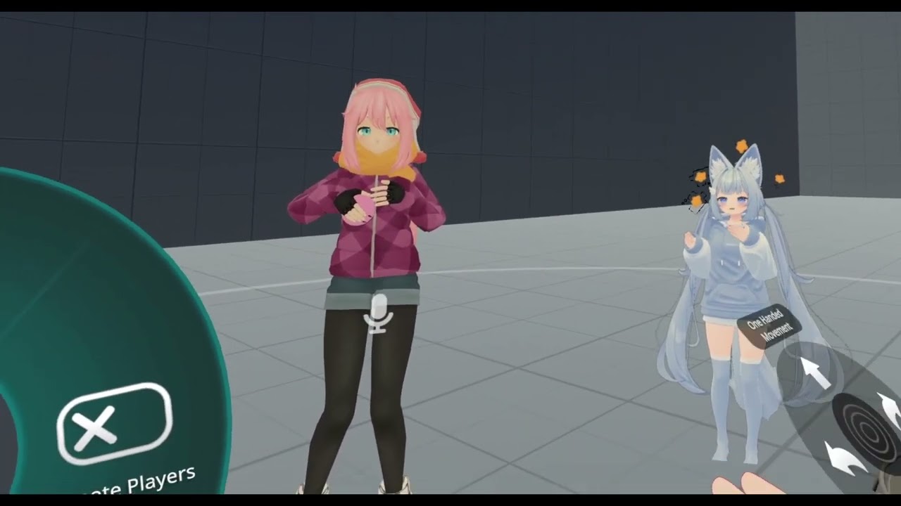 VRchats Personal Mirror