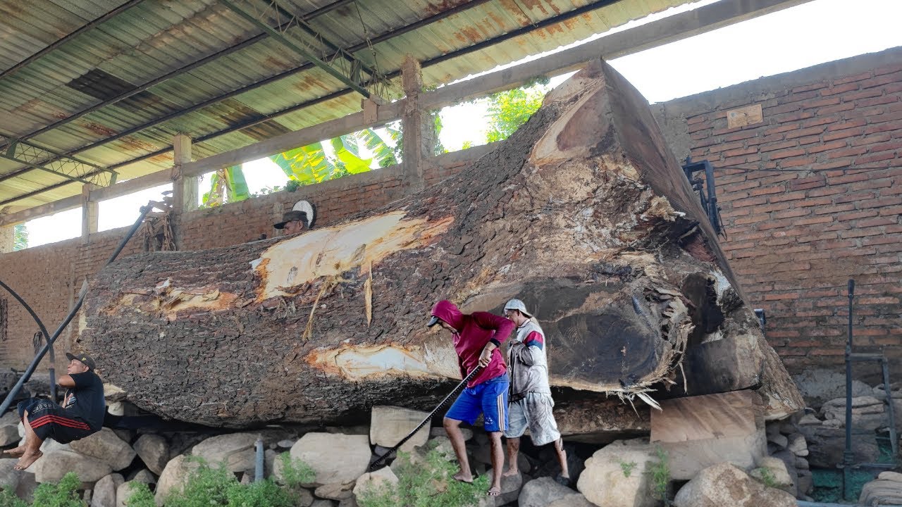 Looking for wood collectors ‼️ Old trembesi saw from the Vienna plateau