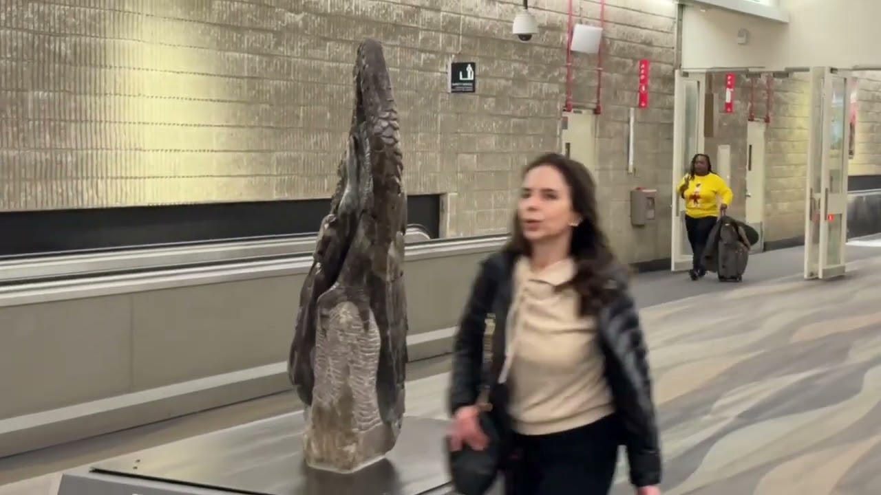 AEROPORTO DE ATLANTA EUA