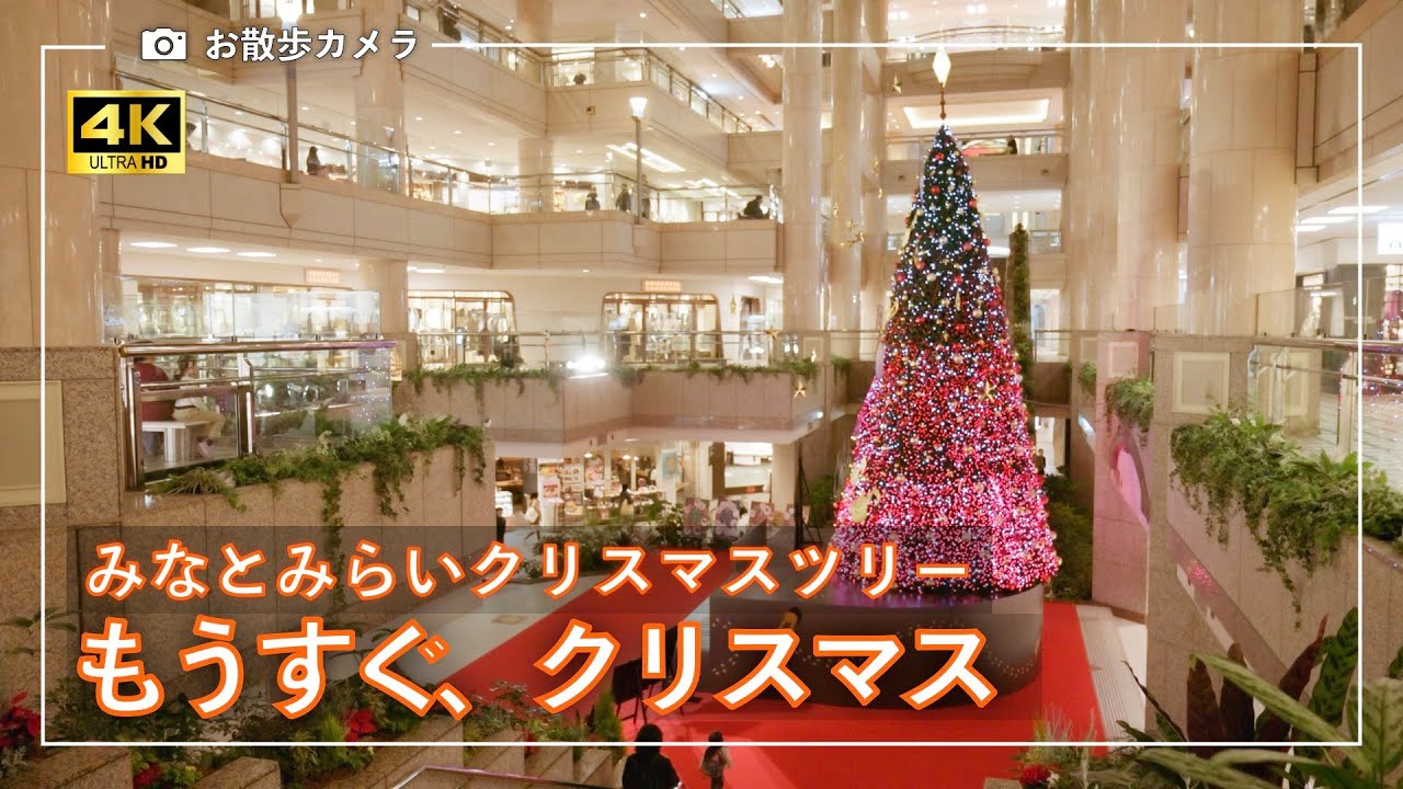 もうすぐクリスマス　ヨコハマ夜散歩＋みなとみらいのクリスマスツリー（クイーンズスクエア、ランドマークプラザ）