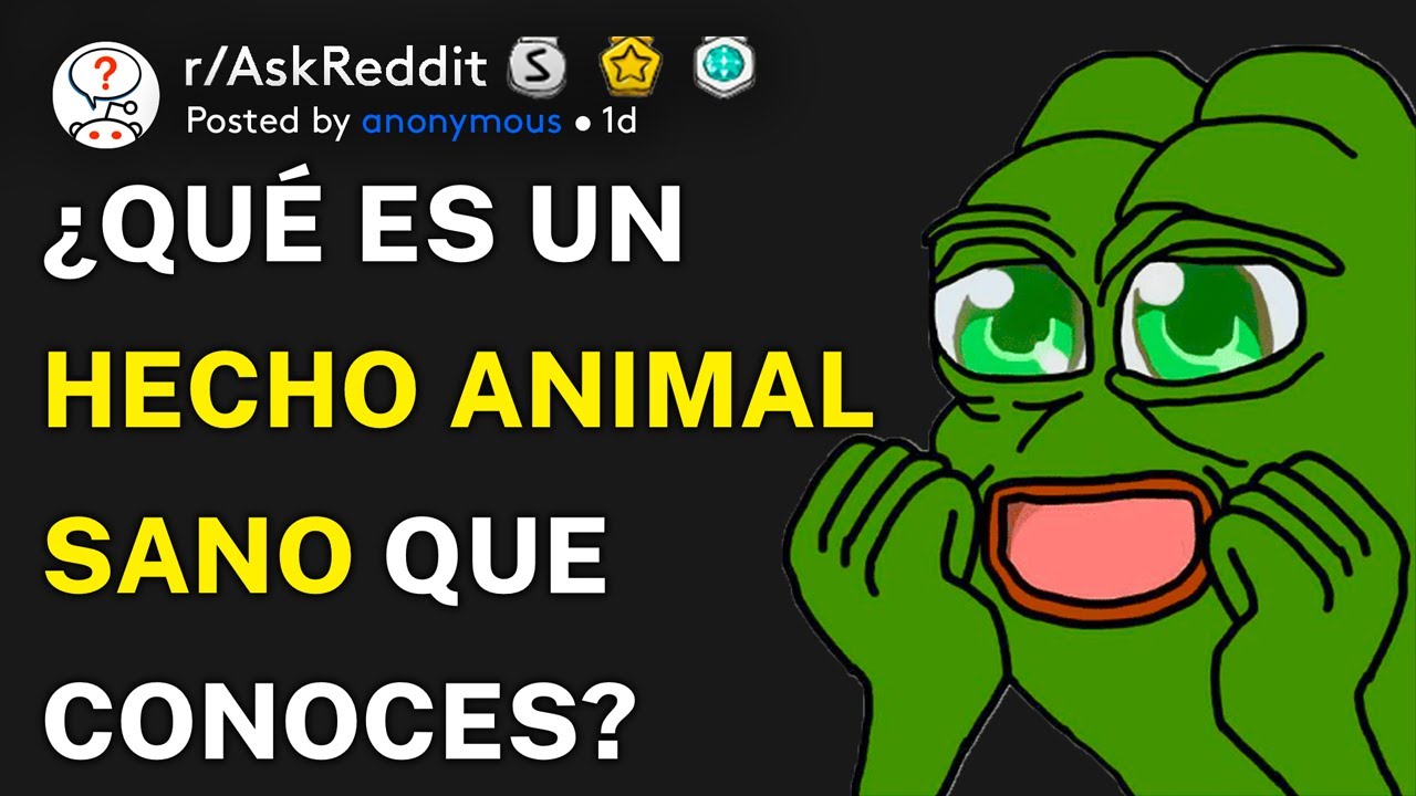 ¿Qué es un hecho animal sano que conoces? (r/AskReddit Español)