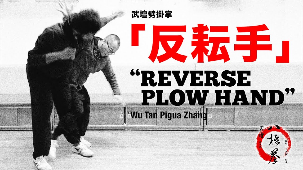 武壇劈掛掌「反耘手」Wu Tan Pigua Zhang “Reverse Plow Hand” (Yun Sho)