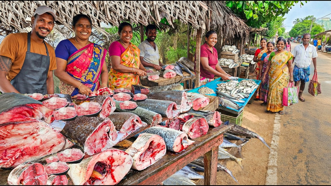 Wow! Sri Lanka's Fish Market Deciphering Secret Language of Seasoned Fishmongers