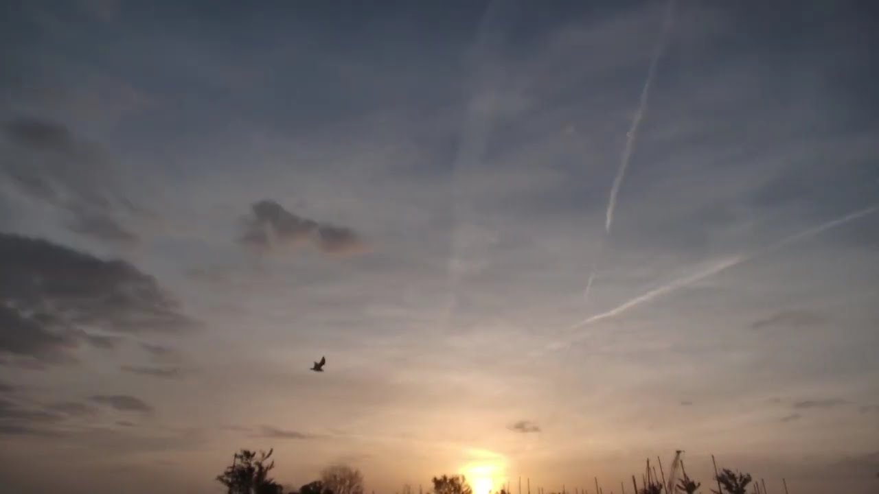 Sunrise to Dusk Timelapse Sky x 256 speed