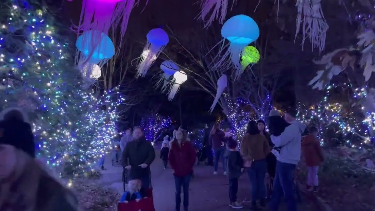 2022 Festival of Lights | Best Zoo Lights - Cincinnati Zoo | Relaxing Christmas Lights