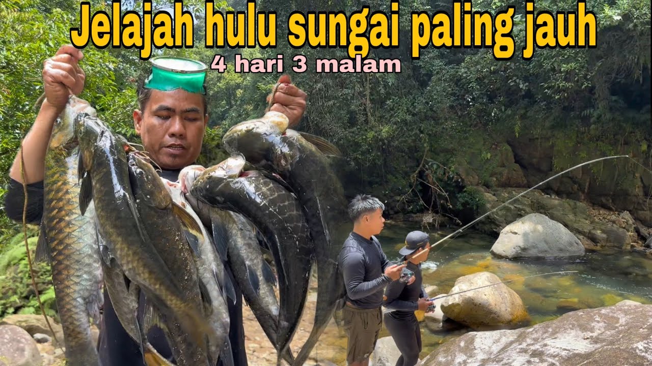 CAMPING fishing 4hari 3 malam: ketemu gerombolan ikan mahser hitam lapar sedang menunggu umpan part1