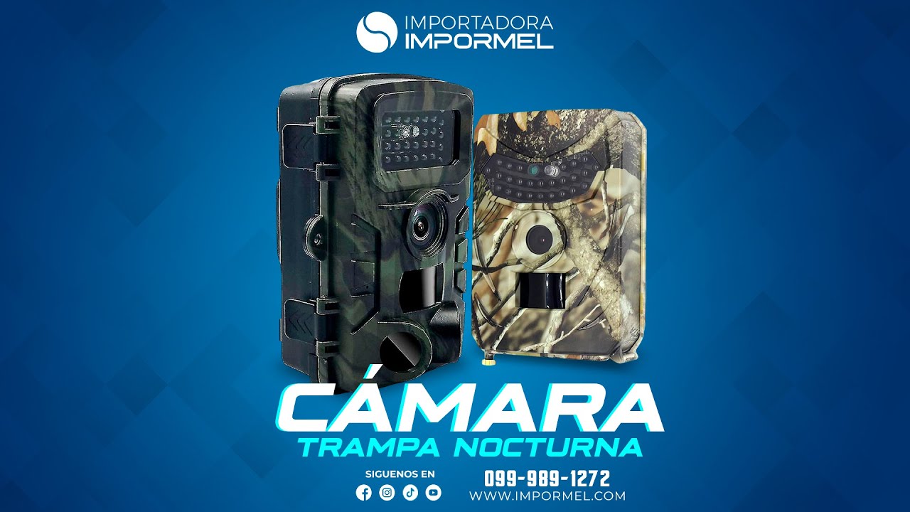 ✅LAS MEJORES CÁMARAS TRAMPA NOCTURA📷CAPTURA LA VIDA SILVESTRE🦔🦊