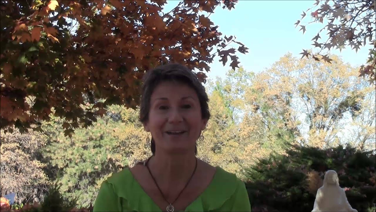 Meditation Teacher Training