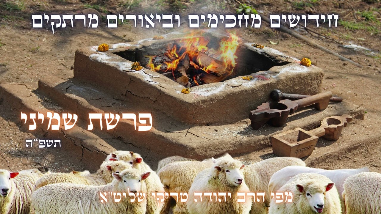חידושים מפתיעים וביאורים מרתקים לפרשת שמיני תשפ