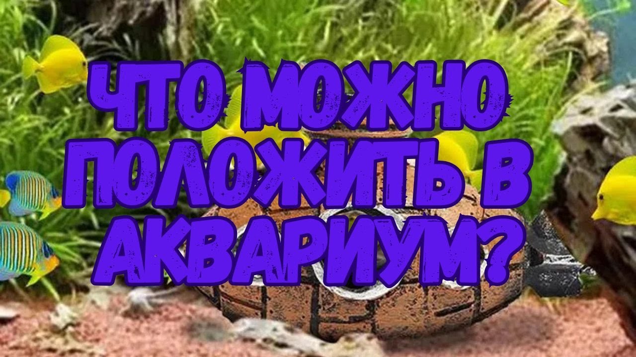 Что можно положить в аквариум? Декорации для аквариума. Оформлении аквариума.