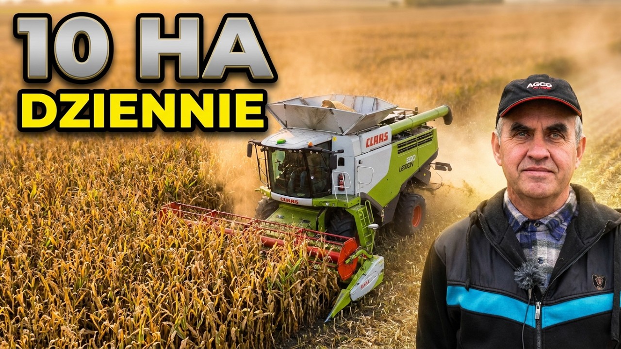 Gospodarstwo 200 ha 👉 koszenie 🌽 kukurydzy 1️⃣0️⃣ ha dziennie
