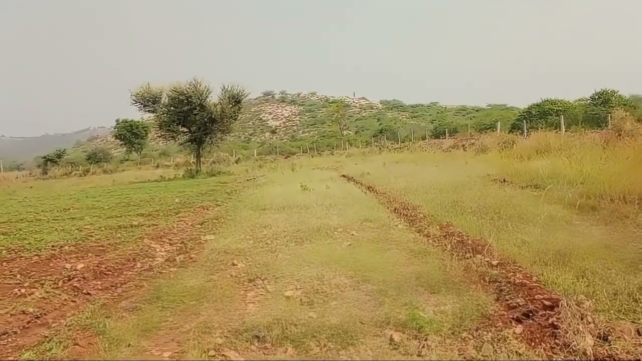 Projact No. (188) 135 Bigha Hill Land for Sale near Ramgarh Tiger Reserve | Lake View