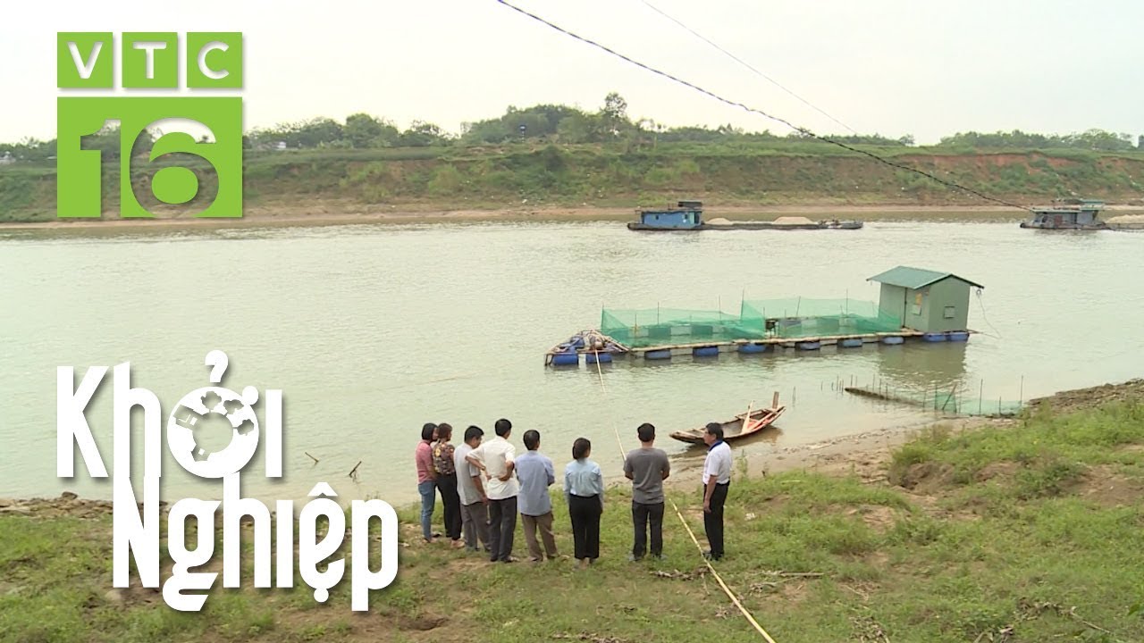 Ném trăm triệu xuống sông Lô nuôi cá và cái kết...| Khởi nghiệp 499 | VTC16