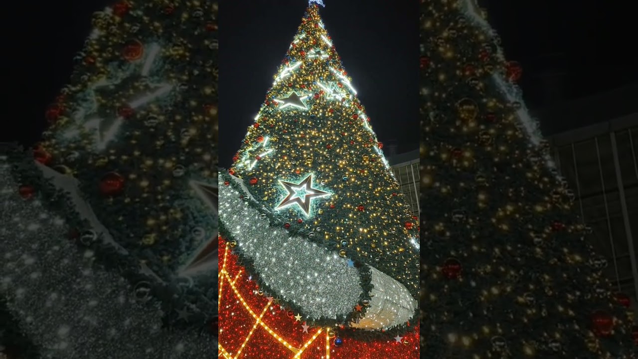 #marrychristmas #newyearvibes #santaclaus 🤶 🧑‍🎄 #jinglebells ❤️🎂 #viralvideo #trending