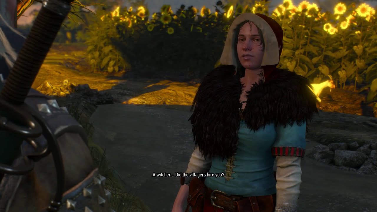 Witcher 3 - Little Red