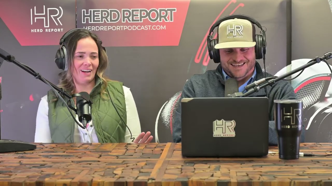 Отчет о продажах племенного скота: 🔥 Рекордные цены на ангусов и тенденции селекции определяют ры...