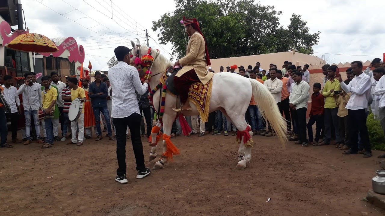 Suraj kate horse kodoli. Satara