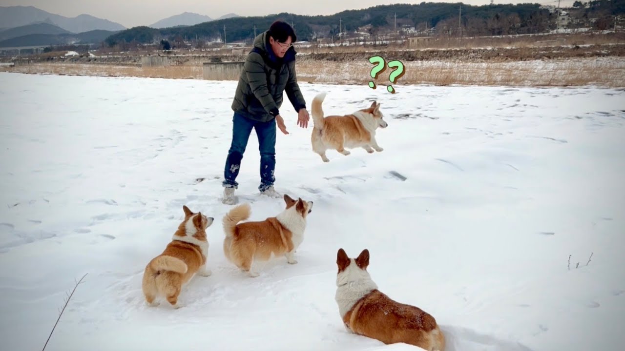 귀엽게 놀랄 다음 영상😅 What happens Next🤣