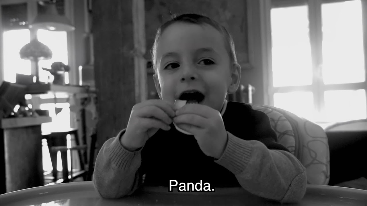 Che macchina abbiamo? - OLLY E GIOPPY | The Pozzolis Family