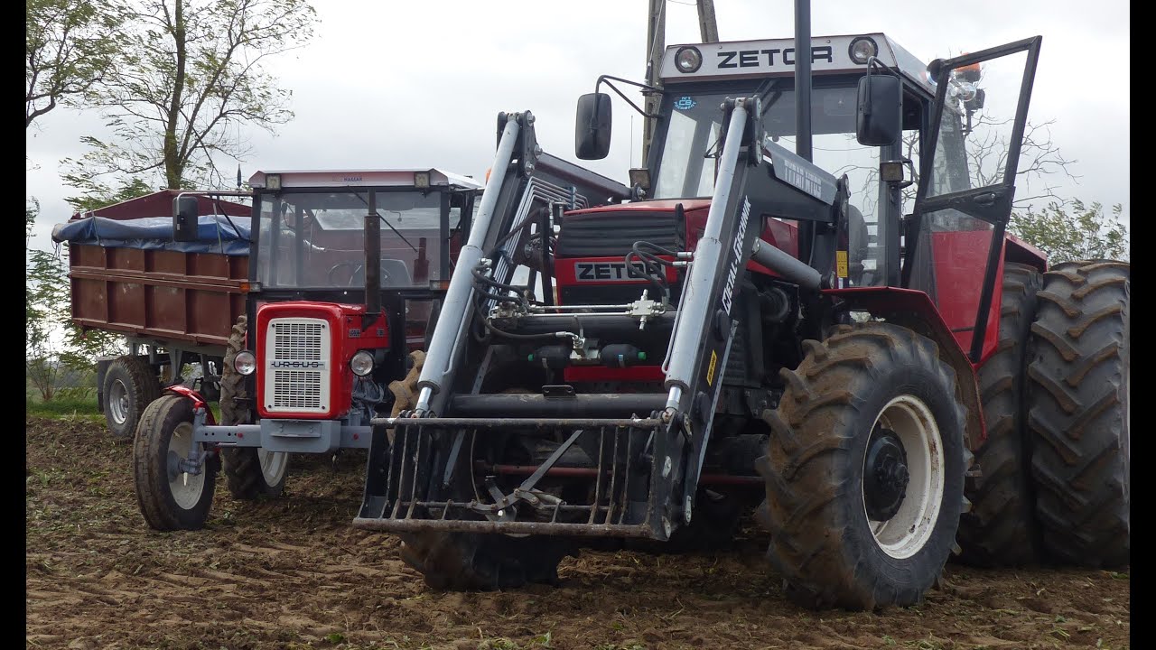 Jesień 2021-Uprawa i siew pszenicy z MrOlej21 {Zetor 16145} {Case 5150}