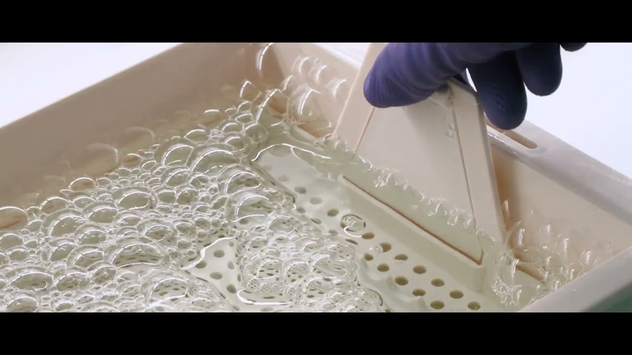 Impression disinfection (english)