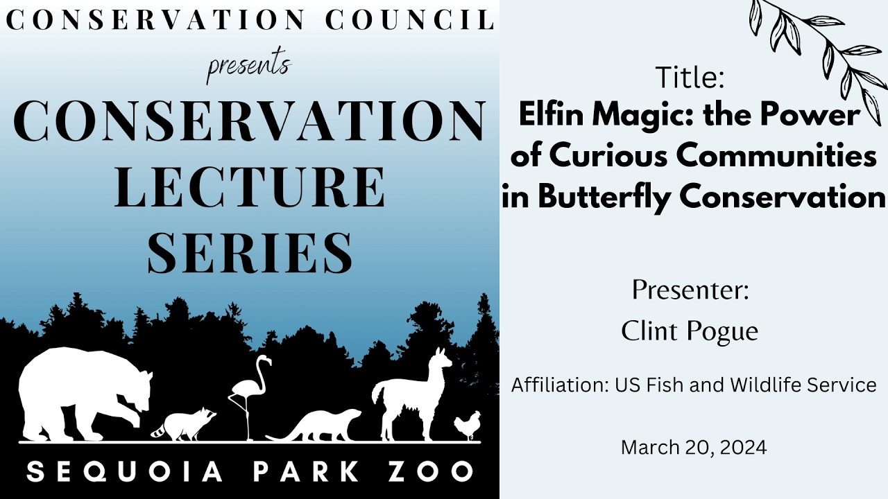 Elfin Magic: The Power of Curious Communities in Butterfly Conservation – Pogue – 3/20/24 SPZ