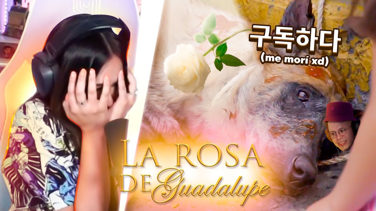 LA ROSA DE GUADALUPE | EL PERRITO DE LA ARMY | AMABLITZ REACCIONA