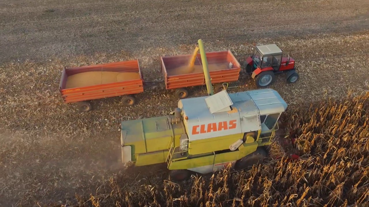 Corn Harvest 2019 2K* ( Claas dominator 96 )