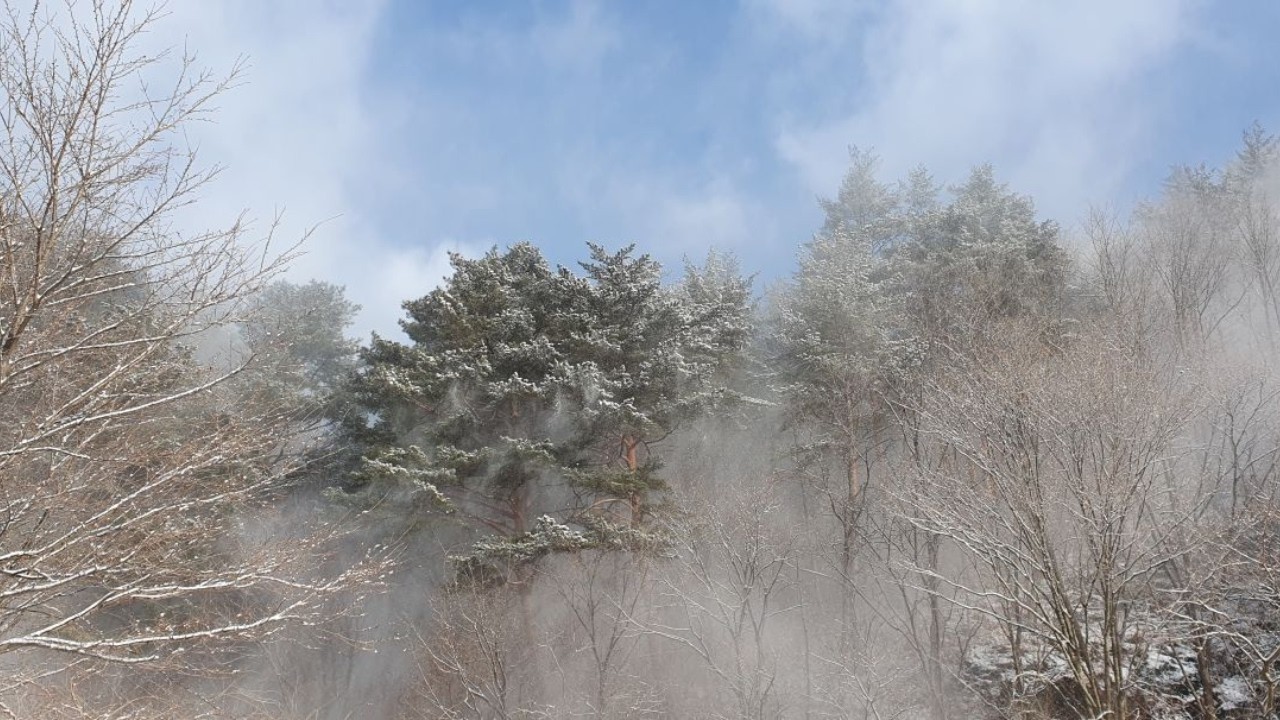 겨울 클래식 오케스트라 라흐마니노프 교향곡 2번 편곡 음악 l 고독의 끝에서 마주하는 웅장한 자기 위로 l 일할 때 듣는 압도적 몰입과 생산성 향상 l 벅찬 감동 힐링 음악