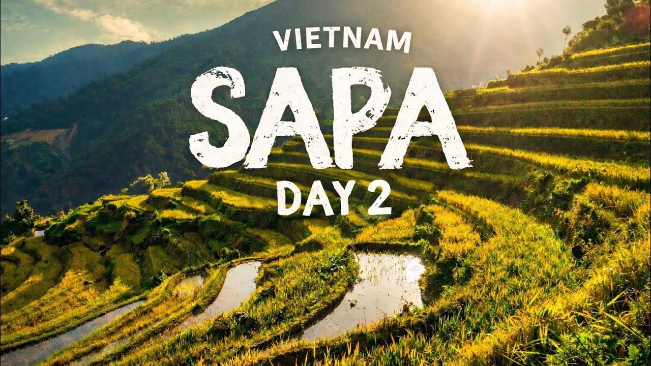 سابا فيتنام 🇻🇳 يوم وسط جبال الأرز والمناظر الخرافية