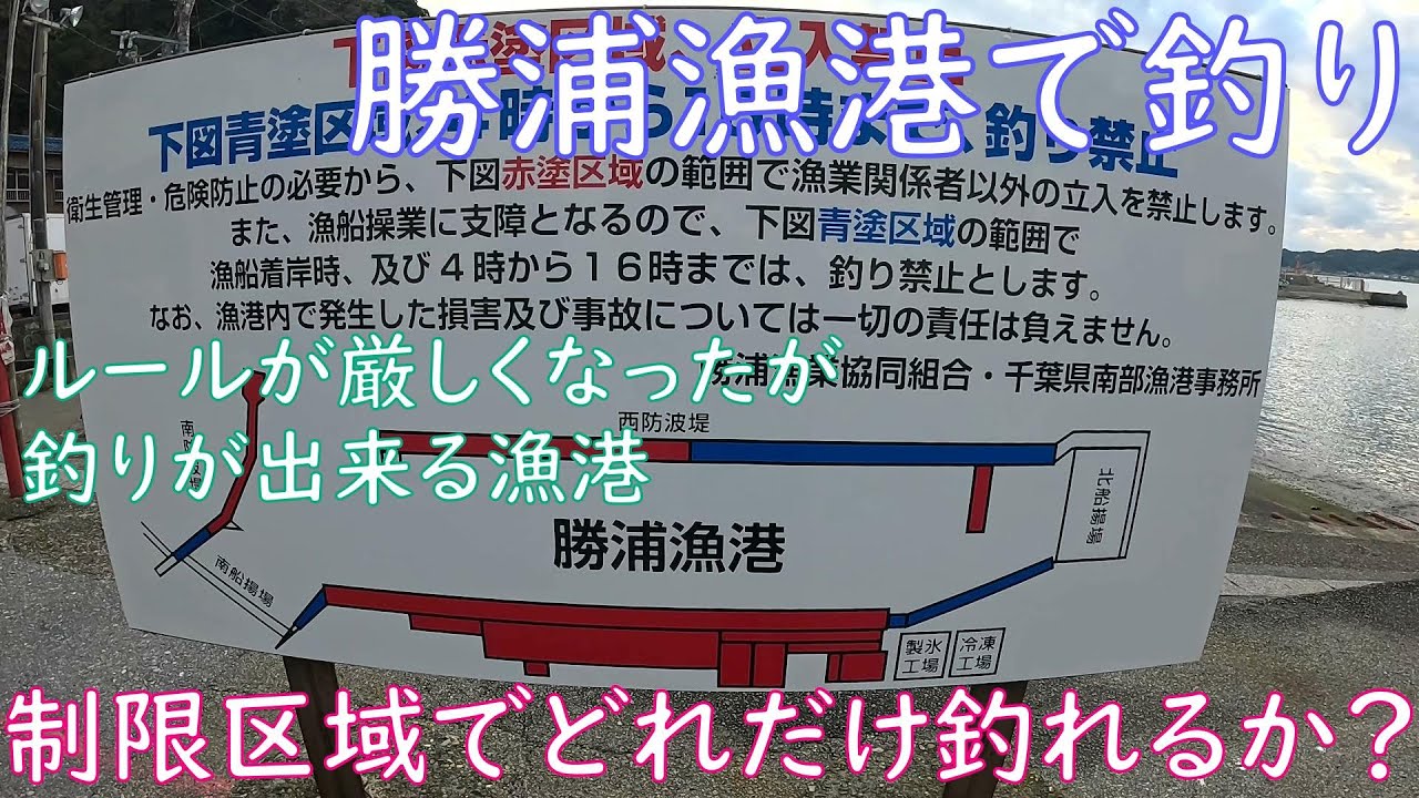 【海釣り】千葉県にある勝浦漁港で五目釣りをすると知らない魚がたくさん釣れた！【冬の漁港】