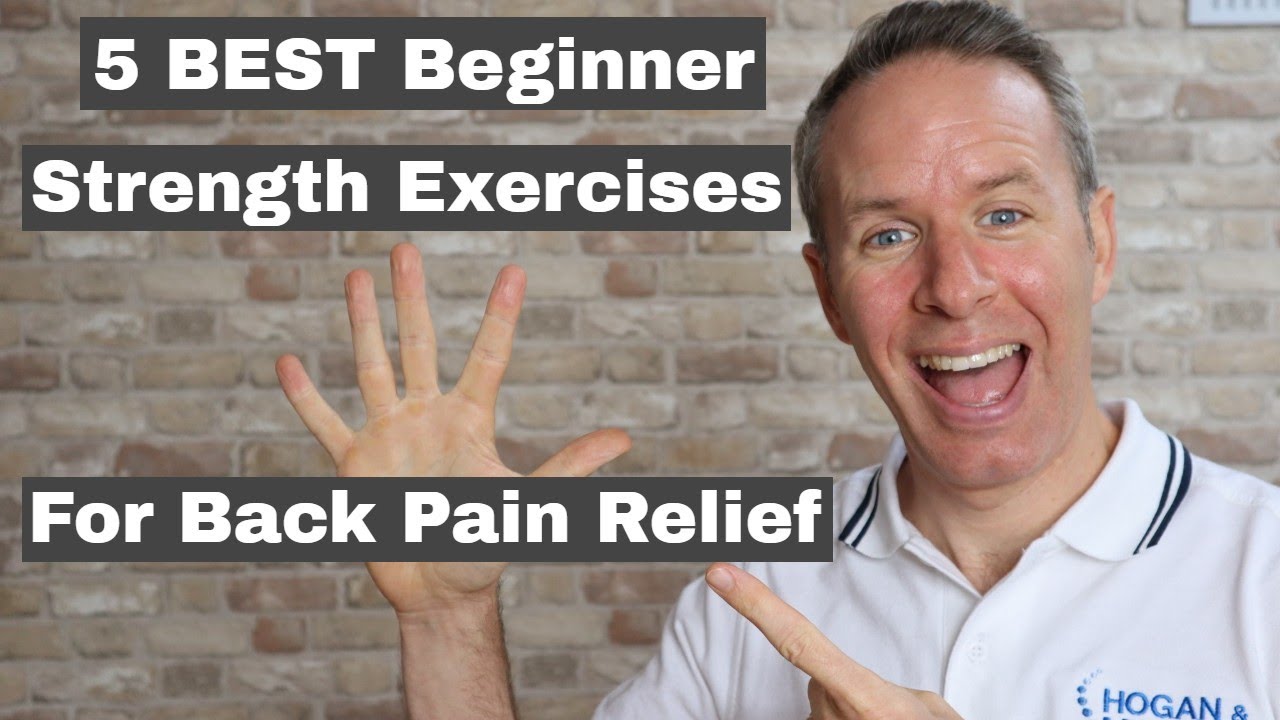 5 BEST Beginner Strength Exercises For Back Pain Relief - Back Pain Workout At Home