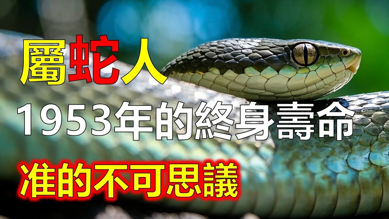 1953年出生：屬蛇人的終身壽命，准的不可思議！#屬蛇#生肖蛇 #19553 蛇