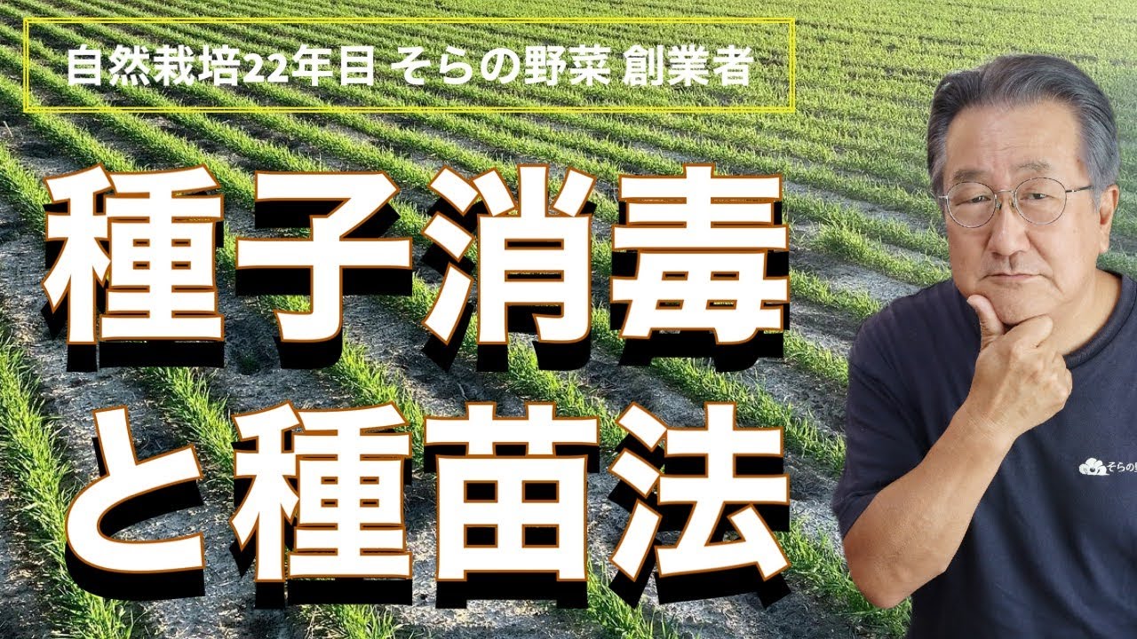 【自然栽培】種子消毒と種苗法【固定種】【在来種】【F1種】【自家採種】【交配種】【SDGs】【種苗法改正】【輸入食品】