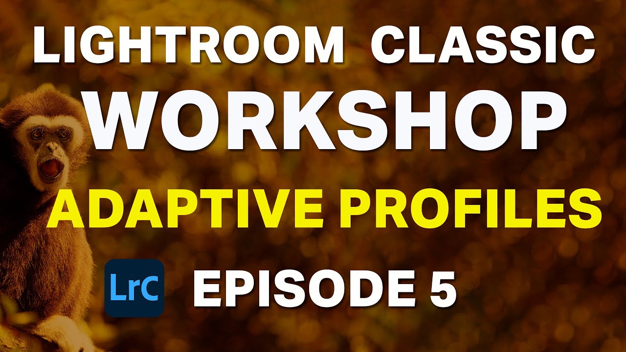 Lightroom Classic 2025 Workshop for Beginners - Adaptive Profiles