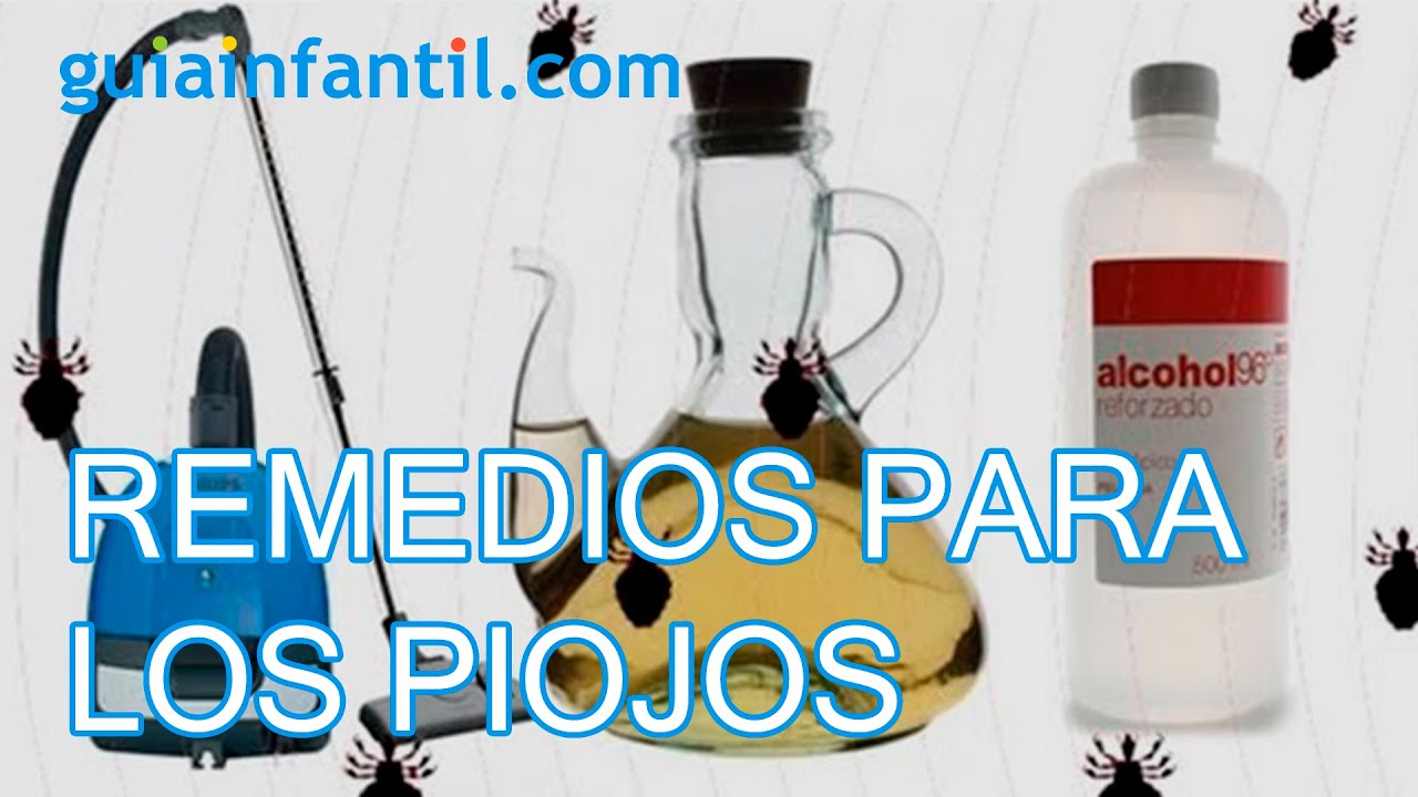 Remedios caseros para los piojos ¿funcionan?
