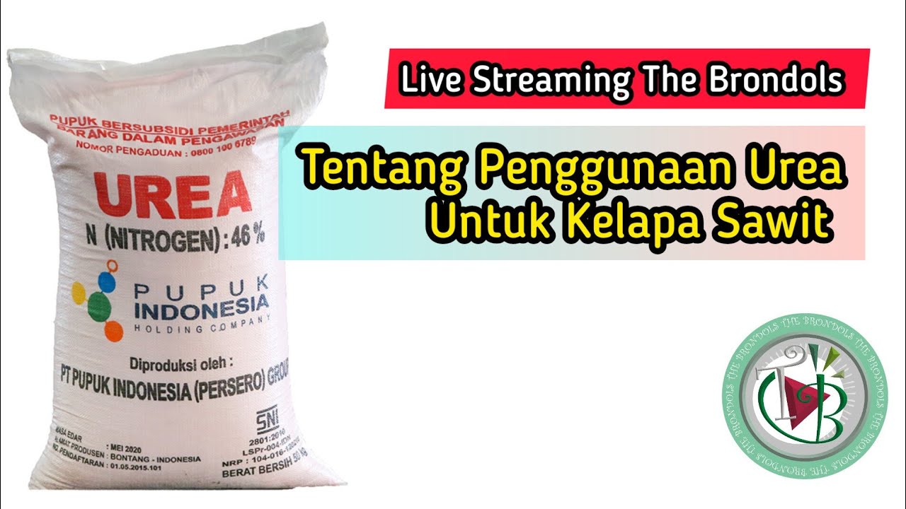 Tentang Penggunaan Pupuk Urea Untuk Kelapa Sawit