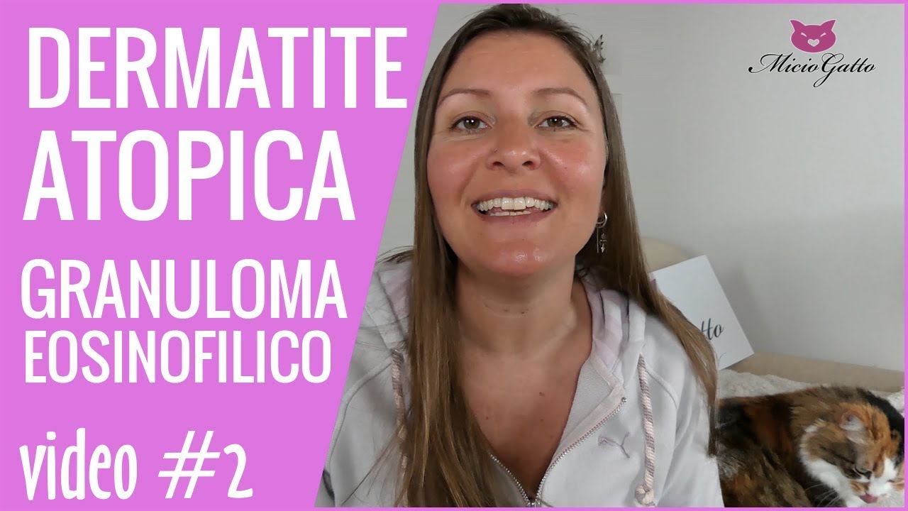 Dermatite atopica del gatto e granuloma eosinofilico, cosa dice il veterinario? - 2 parte!