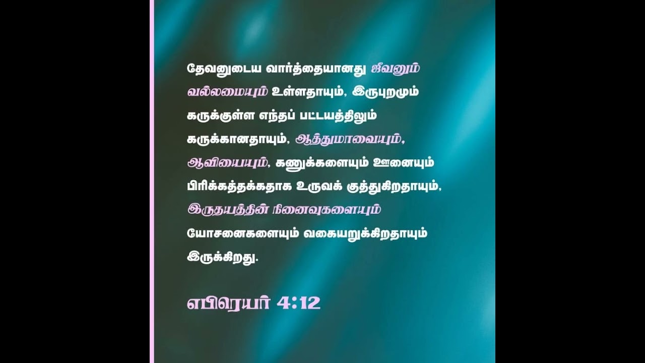 13 February 2026