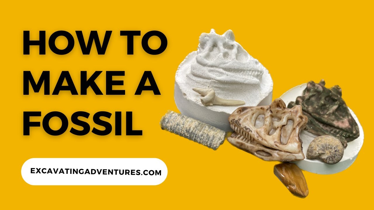 How To Make A Fossil