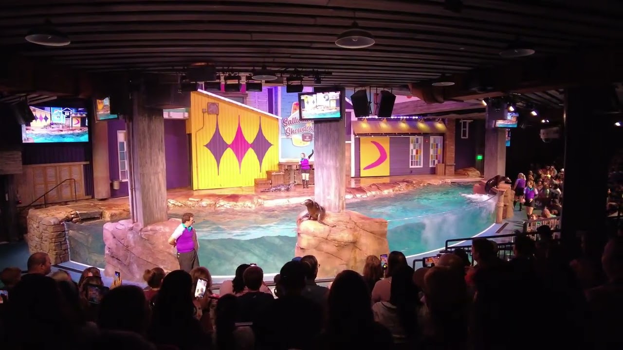 Seal show